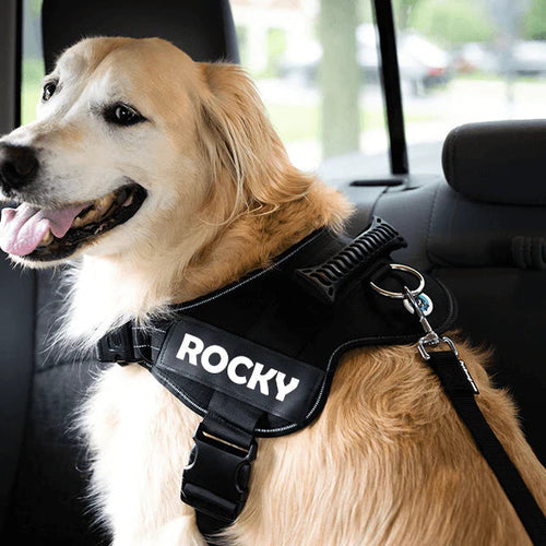 Load image into Gallery viewer, Adjustable Dog Safety Seat Belt
