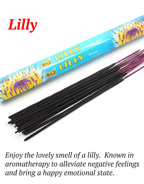 Load image into Gallery viewer, Harmony Incense Sticks
