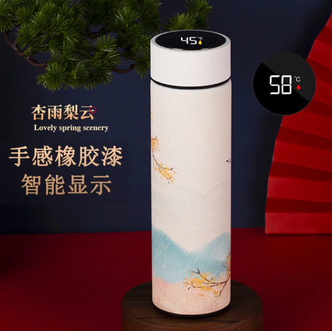 Temperature Display Thermos Bottle