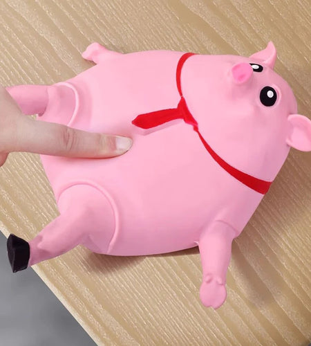The Original SplashPiggy™