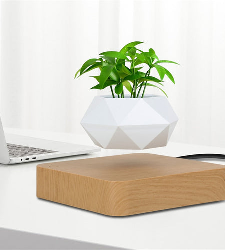 Levitating Air Bonsai Pot