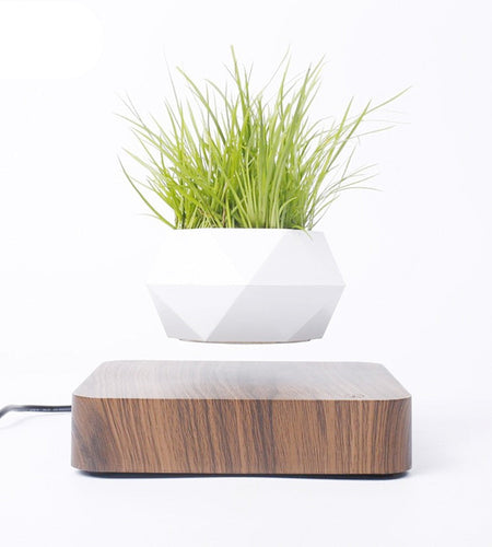 Levitating Air Bonsai Pot