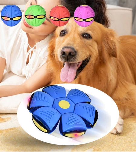 Pets Magic UFO Ball