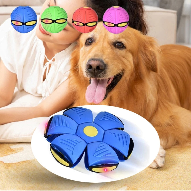 Pets Magic UFO Ball