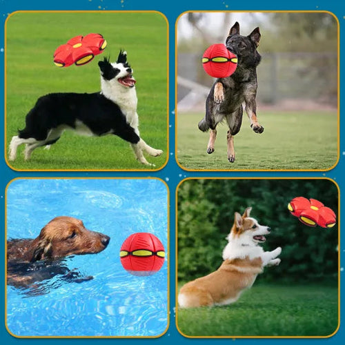 Load image into Gallery viewer, Pet Flying Saucer Ball
