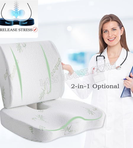 Orthopedics Hemorrhoids Seat Cushion