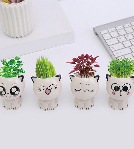 Mini Cat Shaped Cartoon Ceramic Flowerpot