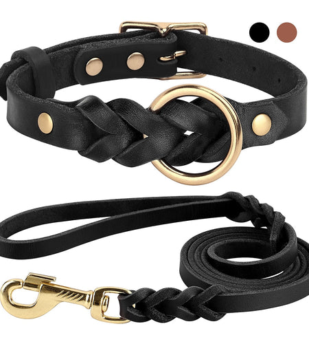 Dog Collar and Leash Set