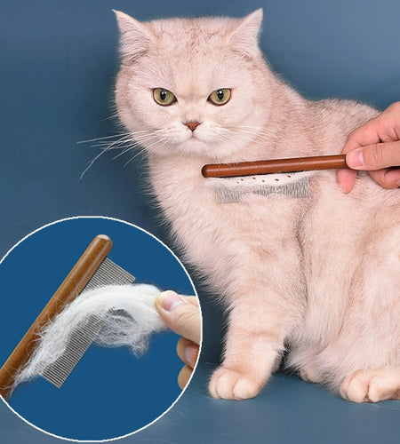 Cat Comb