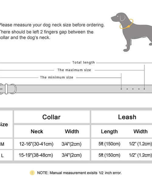 Load image into Gallery viewer, Dog Collar and Leash Set
