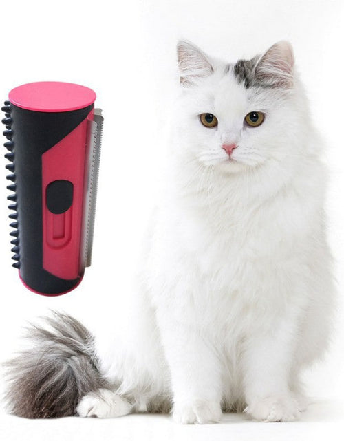 Load image into Gallery viewer, Pet Hair Remover Brush
