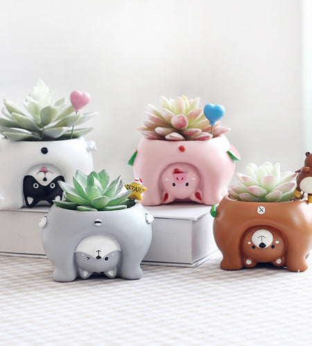 Cartoon Animal Flower Pots