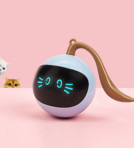 Automatic Self Rotating Cat Toy