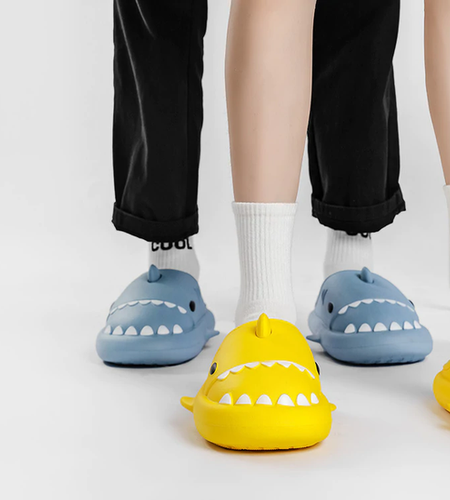 Cozy Shark Slides