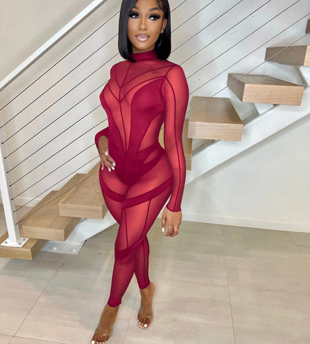 Echoine Stretch See Through Jumpsuit