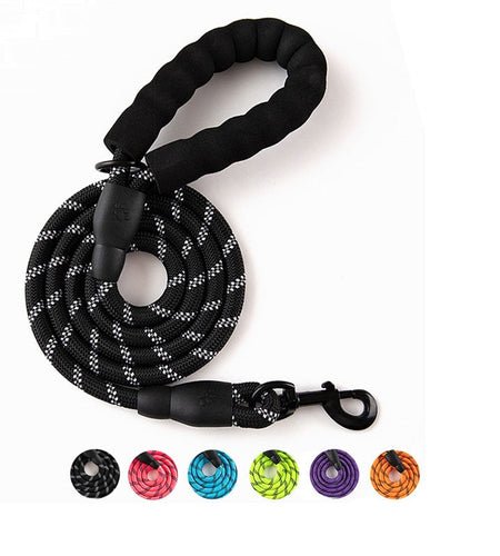 Premium Quality Nylon Leash