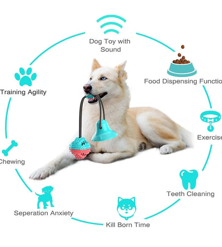 Silicone Suction Cup Dog Toy