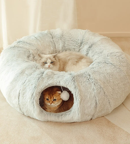 Cat Beds House
