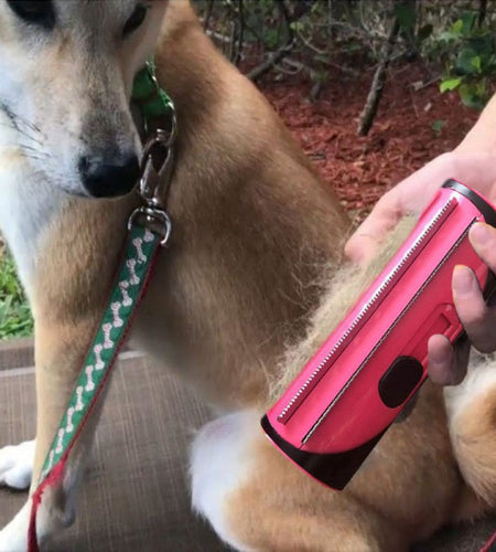 Pet Hair Remover Brush