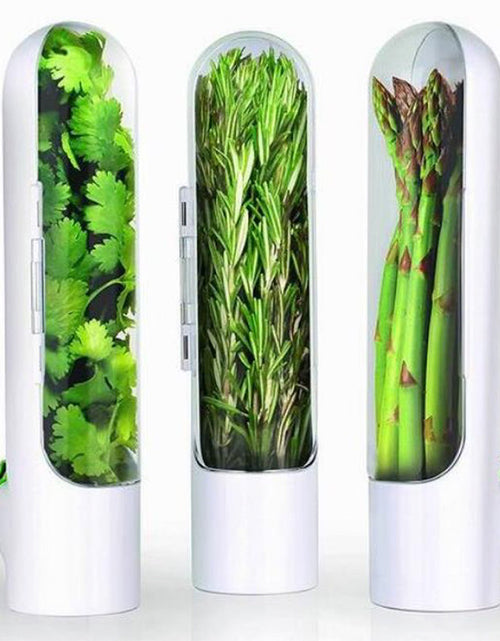 Load image into Gallery viewer, Herb Keeper and Storage
