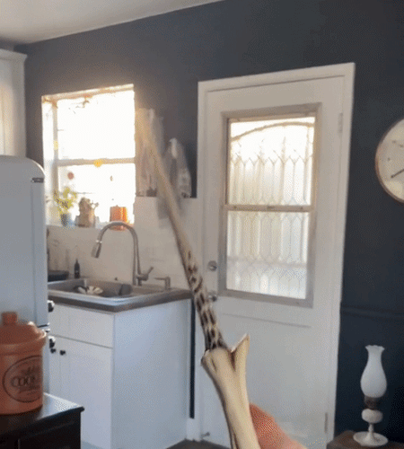 Magic Wands (Shoots Real Fireballs)