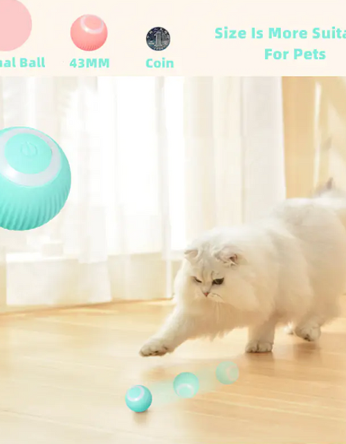 Load image into Gallery viewer, Smart Cat Ball Toys
