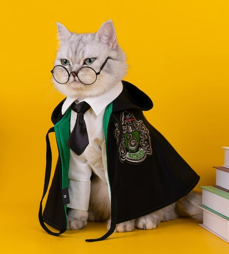Pet Cosplay Cloak