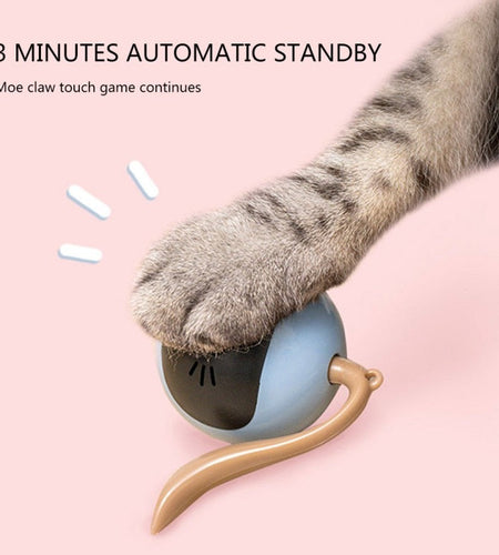 Automatic Self Rotating Cat Toy