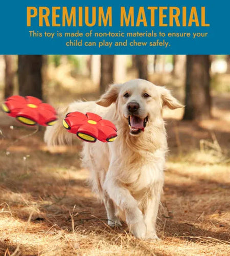 Pet Flying Saucer Ball