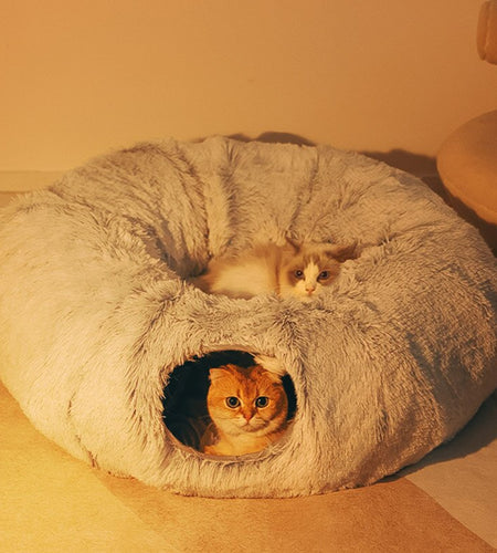 Cat Beds House