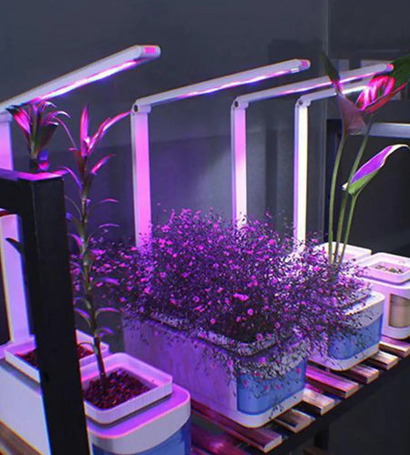 Hydroponic Indoor Herb Garden Kit