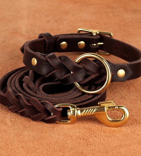 Dog Collar and Leash Set