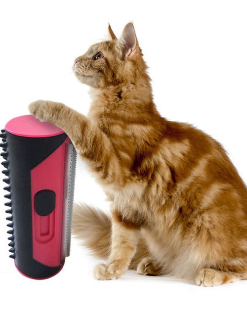 Load image into Gallery viewer, Pet Hair Remover Brush
