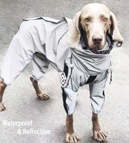 Reflective Dog Raincoat