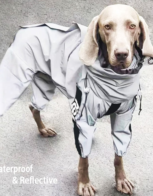 Load image into Gallery viewer, Reflective Dog Raincoat
